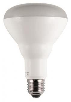 Scharnberger LED Reflektorlampe R95 x137mm, 38253